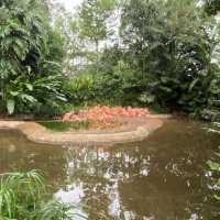 Jurong Bird Park Singapore