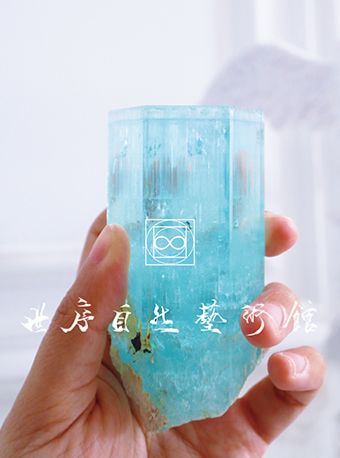 世序自然藝術館|展覽休閒 | 世序自然藝術館