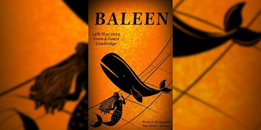 Baleen | Town and Gown