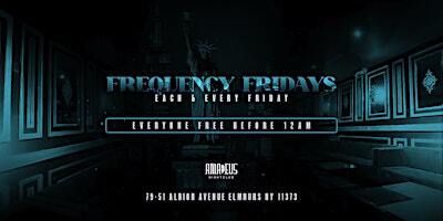 Friday November 22nd 2024 : Frequency Fridays at Amadeus Nightclub | Amadeus Nightclub