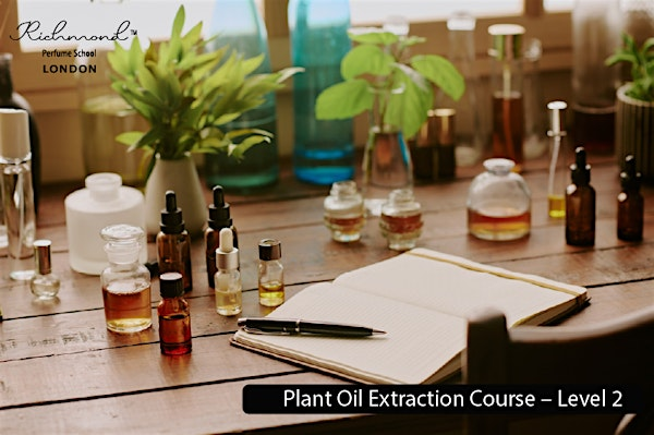 Plant oil extraction course -  level 2 | TW10 6UT