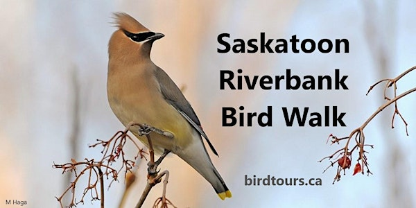Saskatoon Riverbank Bird Walk | Cosmopolitan Park