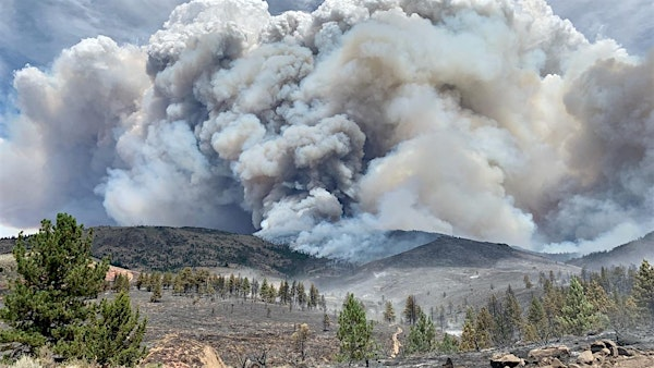 August 15: Fire Risk, Fire Behavior, and Post-Fire Forest Resilience | Granlibakken Tahoe