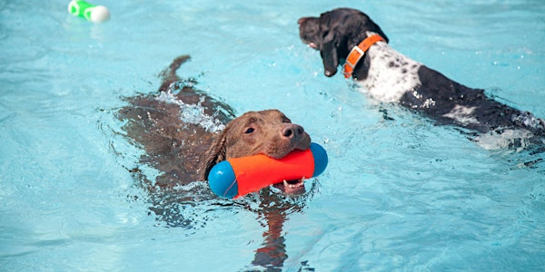 Splish Splash Doggie Bash 2025 | Piedmont Park Greystone
