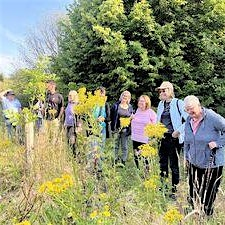 Birds and a Brew July, What to Look for in Summer - Nature Discovery Centre, Friday 24 July | Nature Discovery Centre