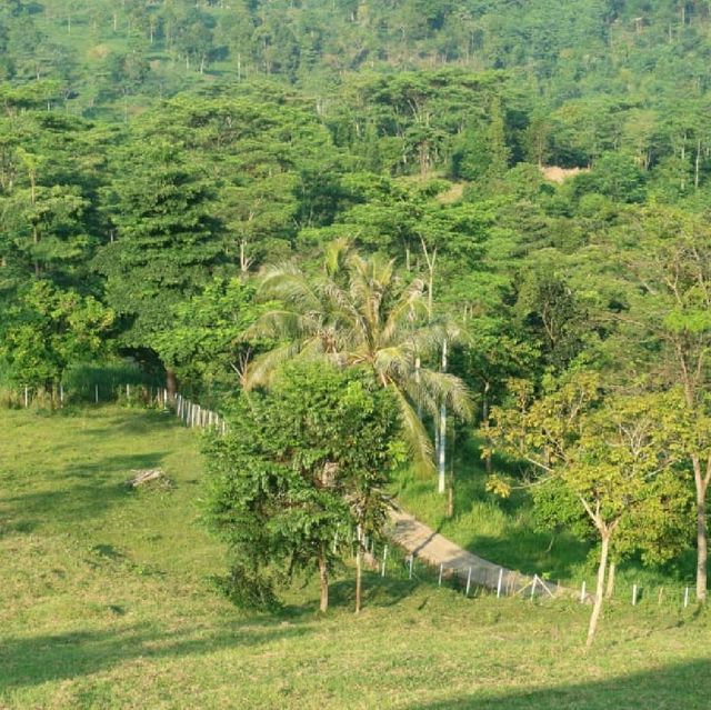 farm hill waruwangi