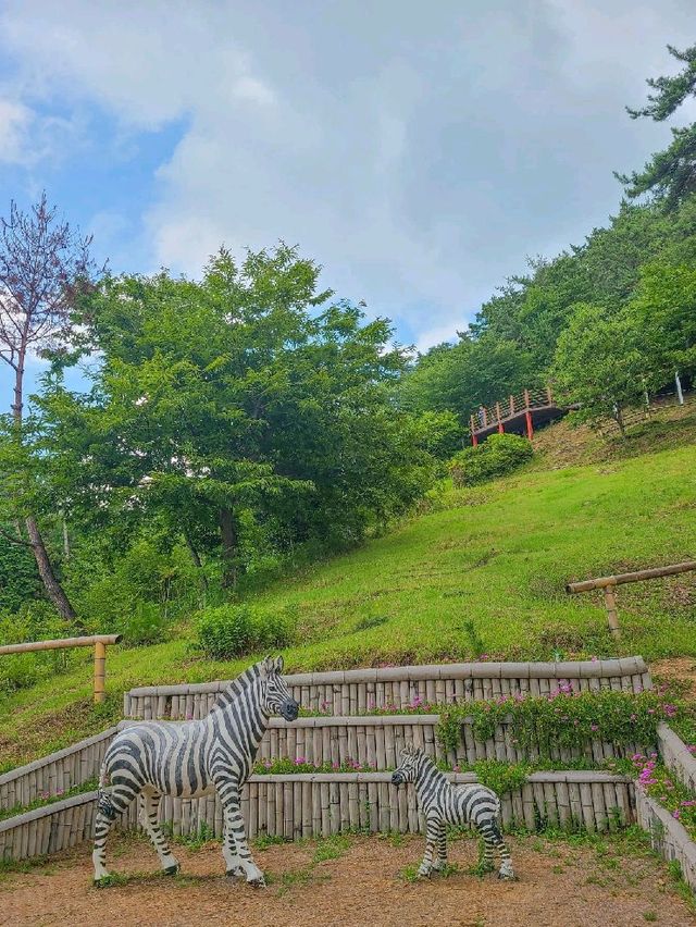 360도 둘러봐도 대나무뿐