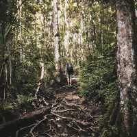 taman nasional kerinci Seblat