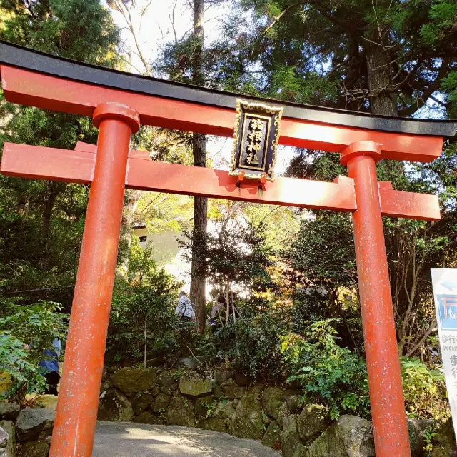 【神奈川県】箱根神社