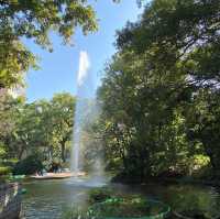 鬧市中的公園 — 九龍公園