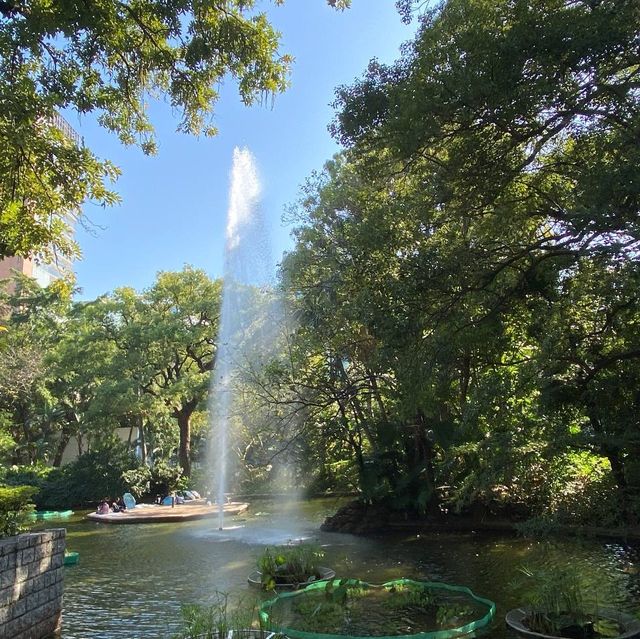 鬧市中的公園 — 九龍公園
