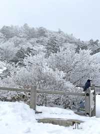스위스 못지 않게 아름다운 한라산 설경