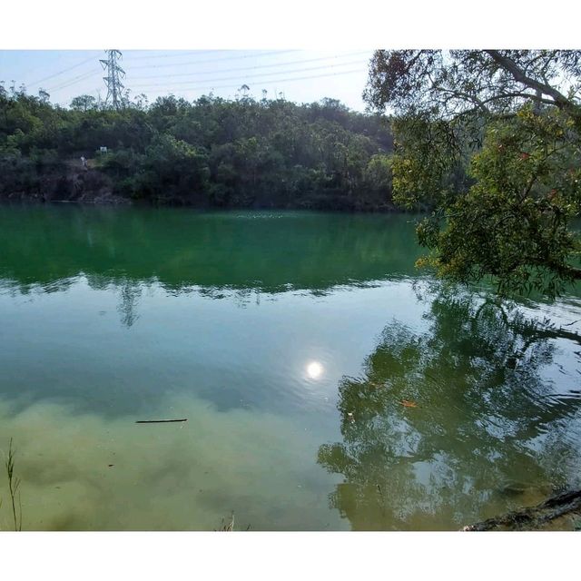 登上馬騮山。九龍水塘 Kowloon Reservoir 
