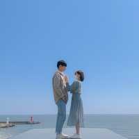 양양 물치해수욕장 신상카페 PEI