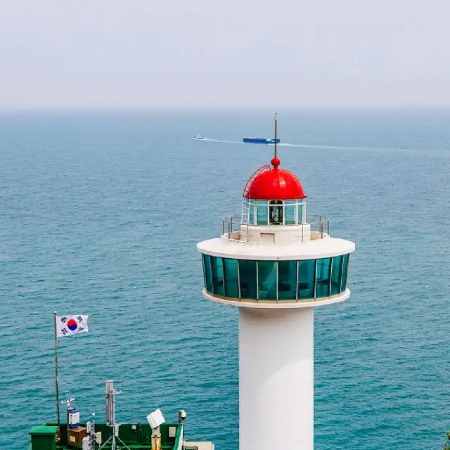 부산 가볼만한곳 태종대 관람 팁