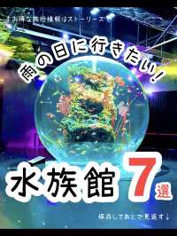 雨の日に行きたい！水族館7選