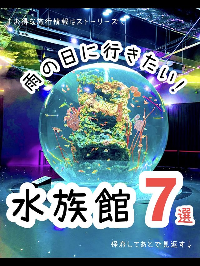雨の日に行きたい！水族館7選