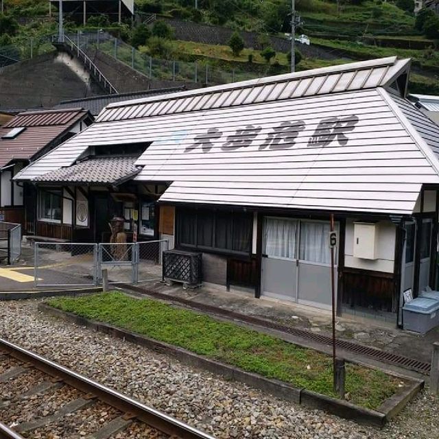 一步一驚心的藤蔓橋