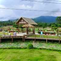 นาแม่เฒ่า @ จ.นครศรีธรรมราช