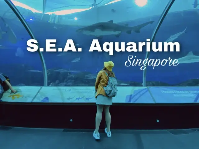 SEA AQUARIUM เกาะเซ็นโตซ่า