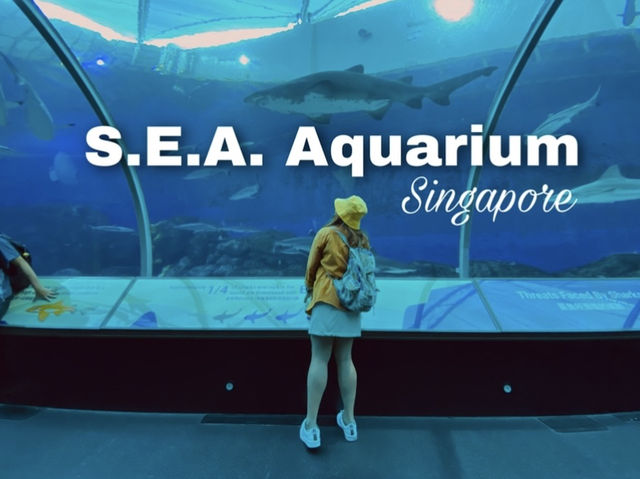 SEA AQUARIUM เกาะเซ็นโตซ่า