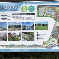 【三笠公園】横須賀中央