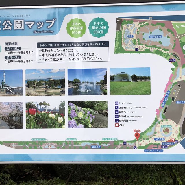 【三笠公園】横須賀中央