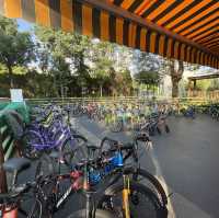 九龍市區玩足一日,有遊樂場/園林公園/歷史遺跡/特色cafe，仲可以有單車俓踏單車😍 