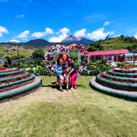 On top of the 'world' at Apo Flower Garden