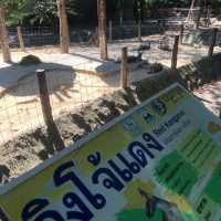 🦩🦘 Chiang Mai Zoo 🦥 🐘