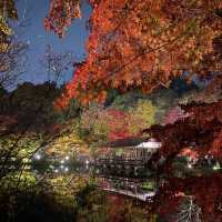 超靚名古屋東山動植物園