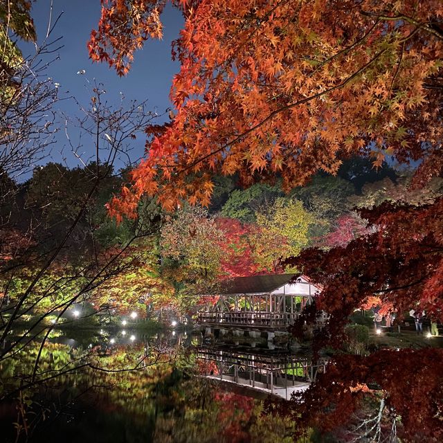 超靚名古屋東山動植物園