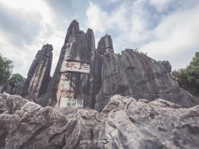 Stone Forest Geological Park@Kunming