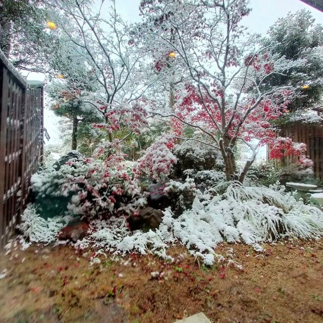 原鶴温泉行きました。（お風呂）