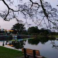 Riding Paddle Boat in Taiping Lake Gardens