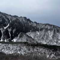 새해엔 한라산의 겨울 산행이죠🥹💙☃️