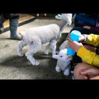 Sheepworld