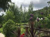 Jewell Gardens