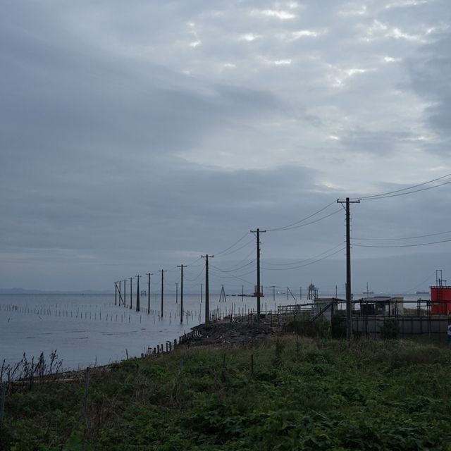 【千葉・木更津】江川海岸潮干狩場 【千葉・木更津】江川海岸潮干狩場
