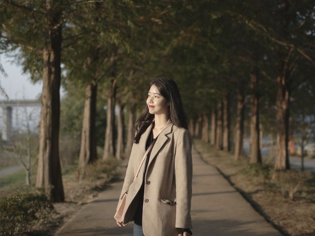 초록초록 야외 힐링 여행 즐기려면? 공주 메타세콰이어 길