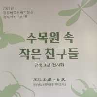 [🇰🇷, 진주] 산림박물관 전시회, ‘수목원 속 작은 친구들’ 🦋