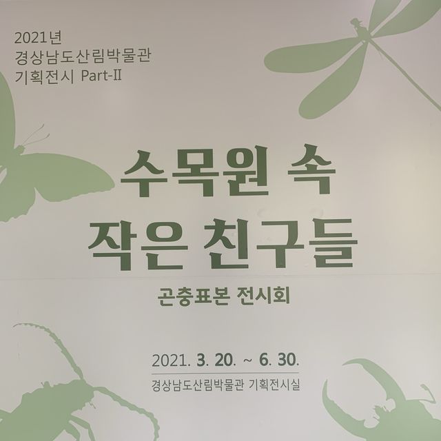 [🇰🇷, 진주] 산림박물관 전시회, ‘수목원 속 작은 친구들’ 🦋