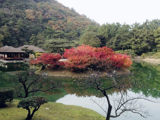 【香川】紅葉が見頃です！