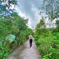 Simple hike, extraordinary sights 