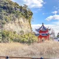 本牧市民公園内の梅と上海横浜友好園
