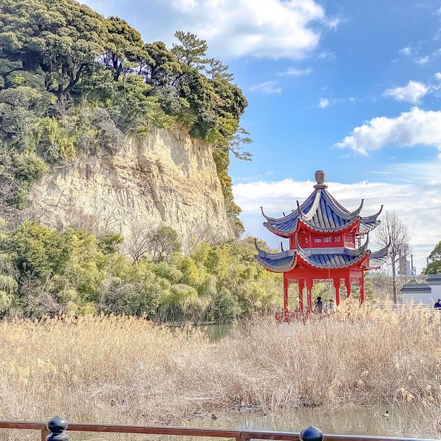 本牧市民公園内の梅と上海横浜友好園