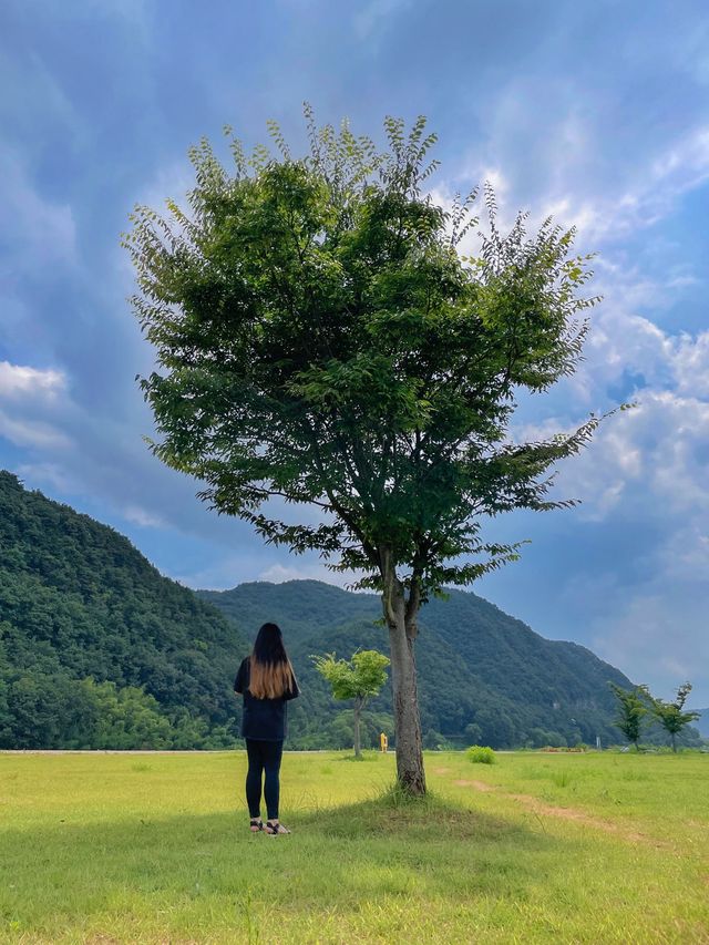 경남 봄나들이 포토스팟 📸