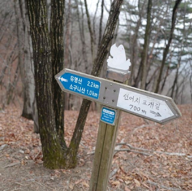 양평 유명산 등산 