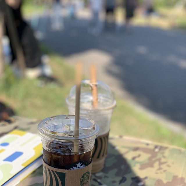 덜 붐비고 예쁘게 한강피크닉 갈만한 곳