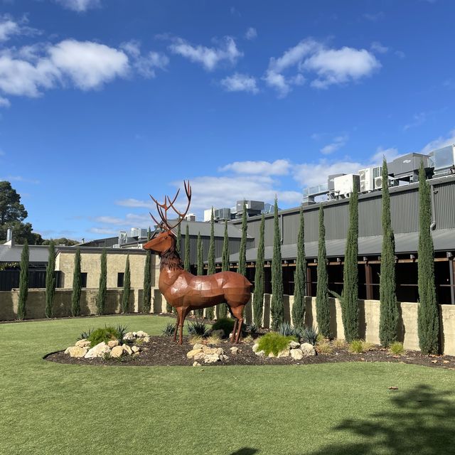 Autumn in the vineyard at Sandalford Wines